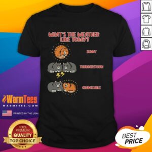 Good What's The Weather Like Today Meoweather T-Shirt featuring a cute cat design perfect for weather enthusiasts.