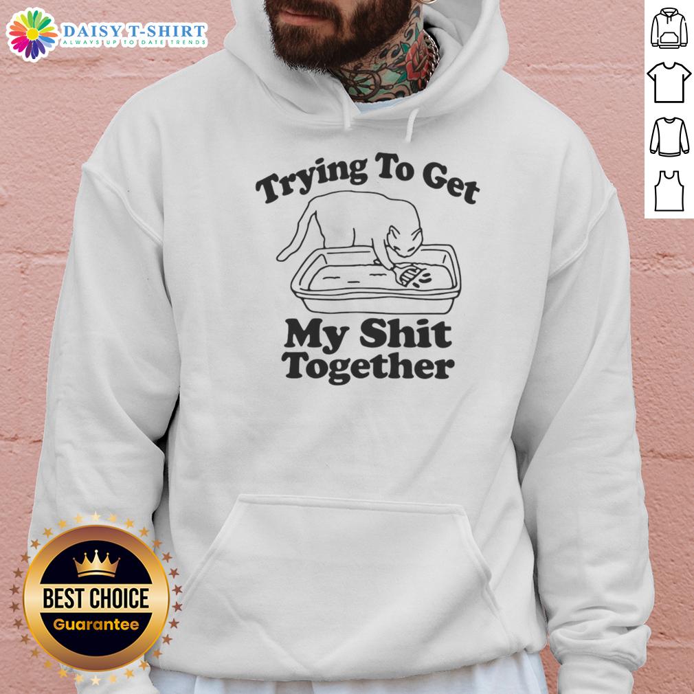 Awesome Cat Trying To Get My Shit Together Hoodie Awesome cat wearing 'Trying to Get My Shit Together' hoodie, showcasing a playful and humorous pet moment.