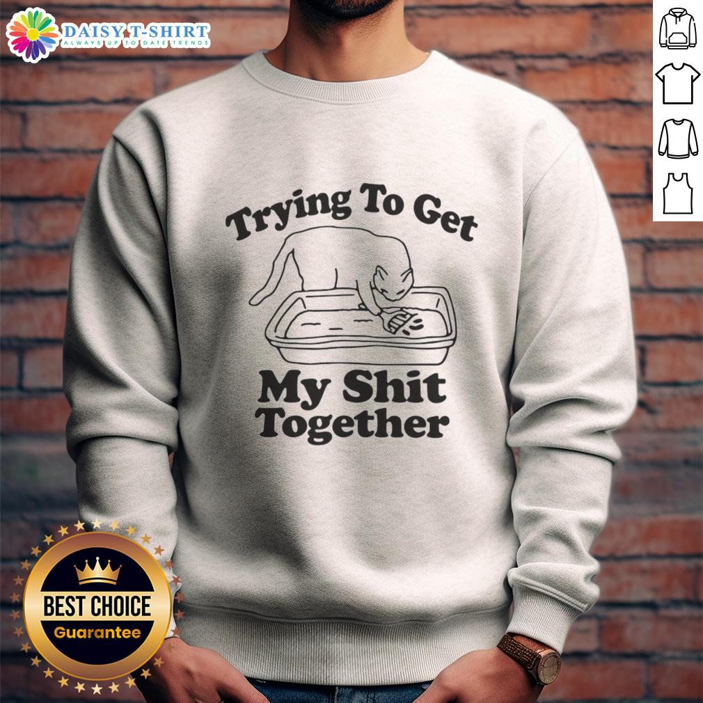 Awesome Cat Trying To Get My Shit Together Sweatshirt Alt Text: Cute cat lounging in a cozy 'Awesome Cat Trying to Get My Shit Together' sweatshirt, showcasing its playful personality.