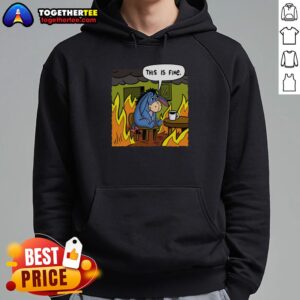 Good Stuffed Donkey This Is Fine Meme Hoodie featuring a cozy design with a playful donkey graphic.