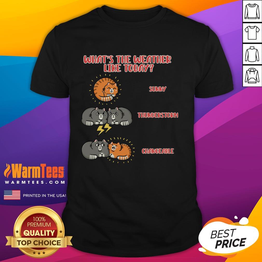 good-whats-the-weather-like-today-meoweather-t-shirt-1 Good What's The Weather Like Today Meoweather T-Shirt featuring a cute cat design perfect for weather enthusiasts.