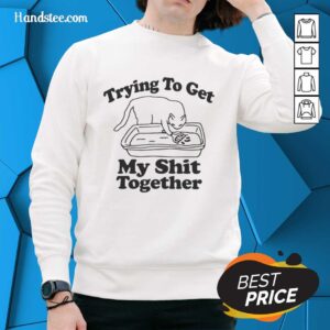 Cute cat lounging in a cozy 'Nice Cat Trying to Get My Shit Together' sweatshirt, showcasing relaxed pet vibes.