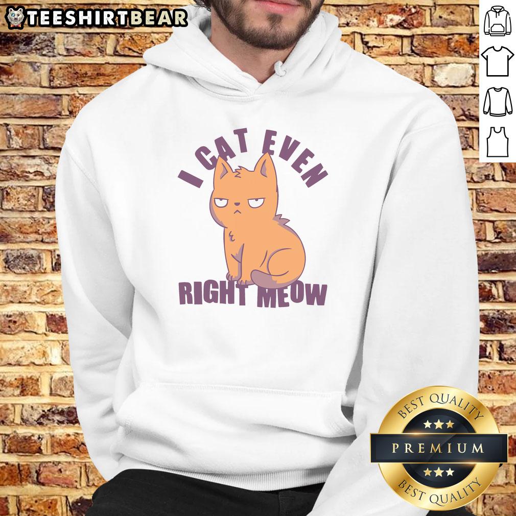 nice-i-cant-even-right-meow-funny-smug-cat-hoodie Funny smug cat hoodie featuring the phrase Nice, I Can't Even Right Meow for cat lovers and humor enthusiasts.