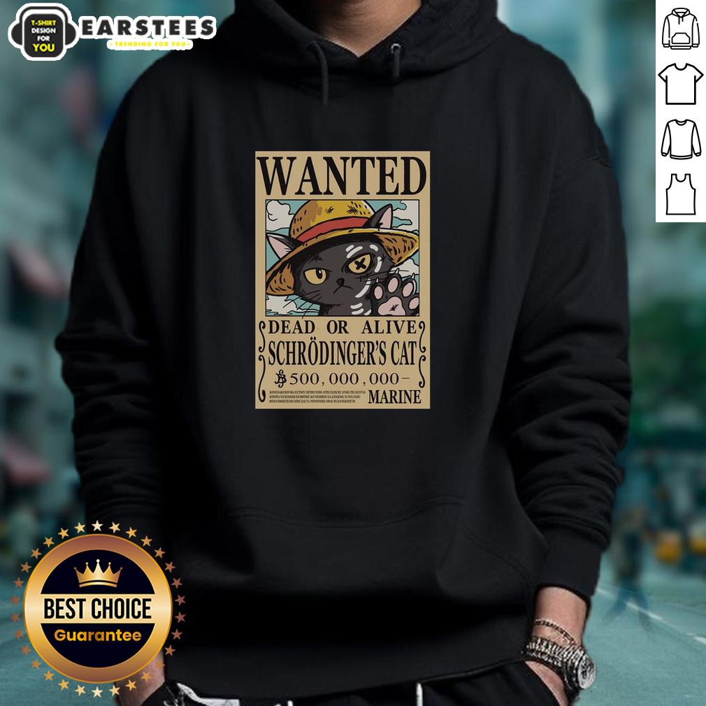 nice-schrodinger-cat-pirate-hoodie Alt Text: Nice Schrodinger Cat Pirate Hoodie featuring a playful cat design, perfect for fans of quirky science-themed apparel.