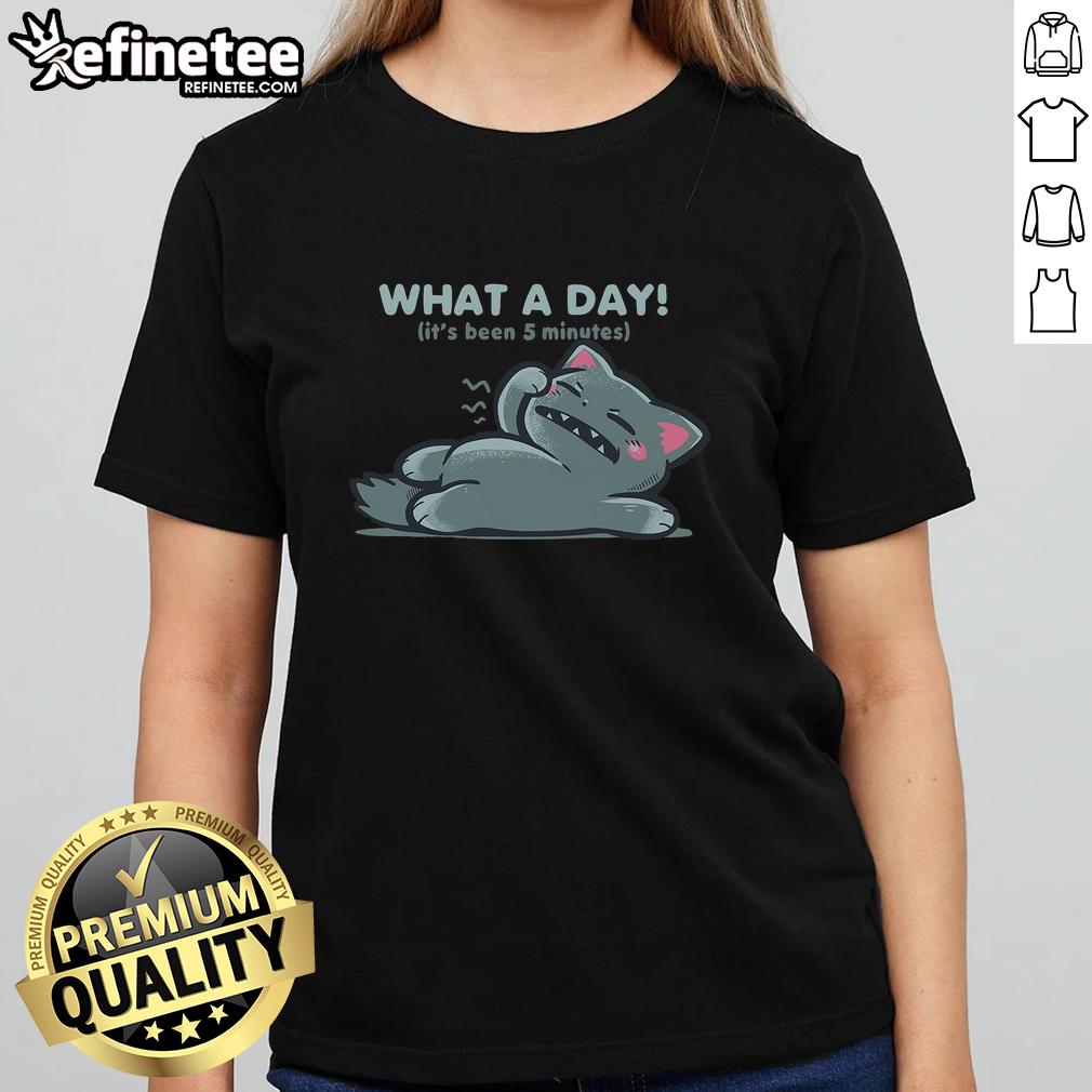 nice-what-a-day-its-been-5-minutes-ladies-tee Nice What A Day It's Been 5 Minutes Ladies Tee featuring a stylish graphic design on a comfortable fit.