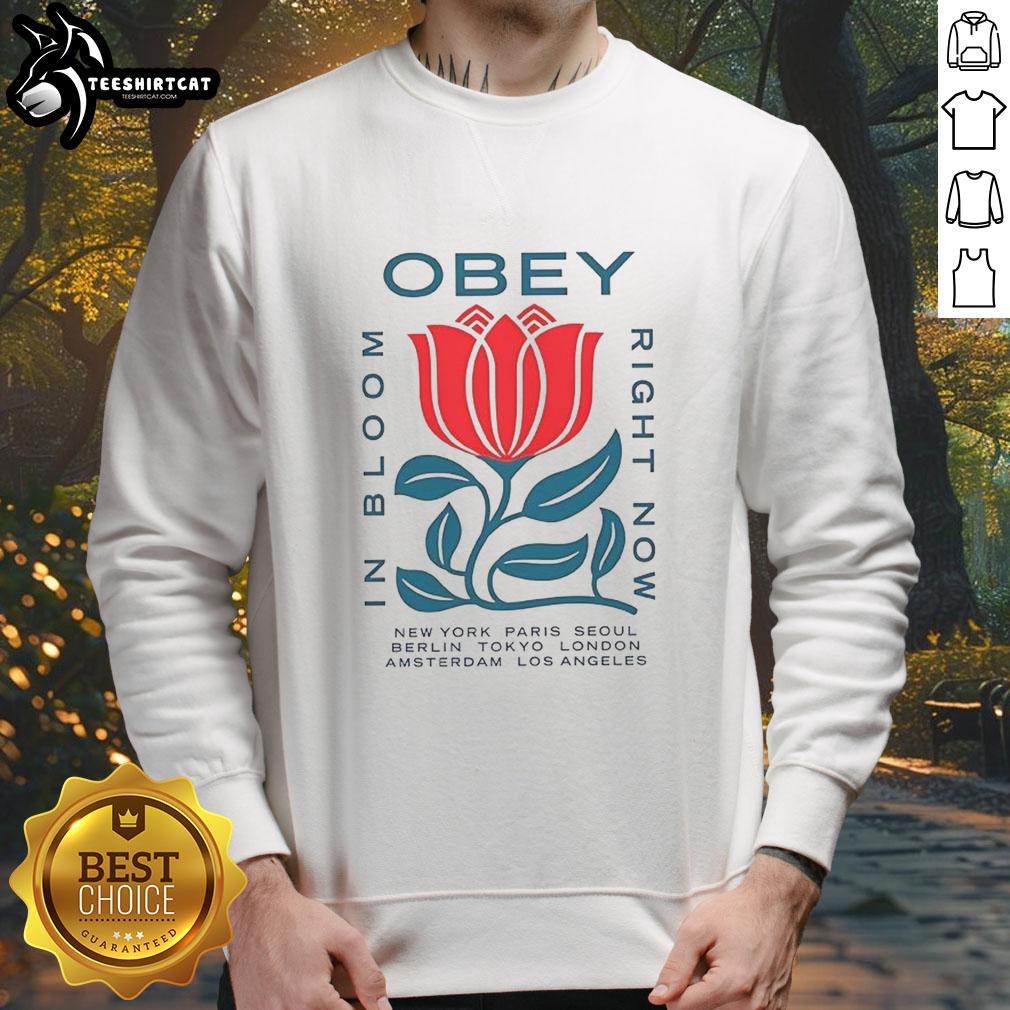 original-obey-in-bloom-right-now-new-york-paris-seoul-berlin-tokyo-london-amsterdam-los-angeles-sweatshirt Original Obey In Bloom sweatshirt featuring city graphics from New York, Paris, Seoul, and more, perfect for urban style.