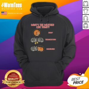 Meoweather hoodie featuring the phrase 'Good, What's The Weather Like Today?' in a stylish, cozy design.
