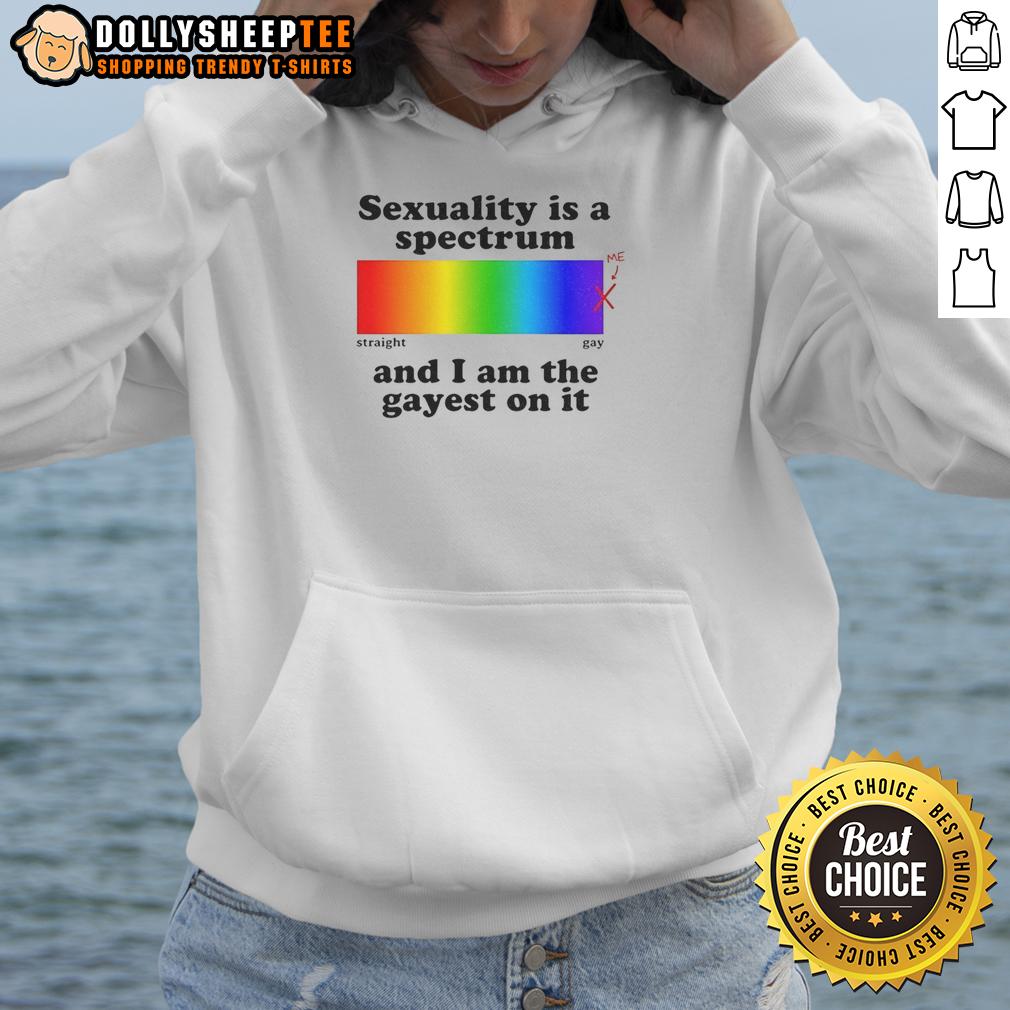 Premium Sexuality Is A Spectrum And I Am The Gayest On It Hoodie Premium 'Sexuality Is A Spectrum' hoodie showcasing vibrant colors, perfect for proud LGBTQ+ expression.