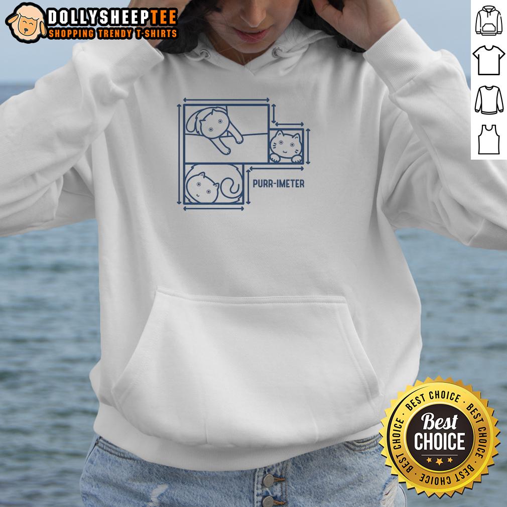 Pretty Purr Imeter Maths Cat Pun Hoodie Funny math cat pun hoodie featuring 'Pretty Purr-imeter' design, perfect for cat lovers and math enthusiasts.