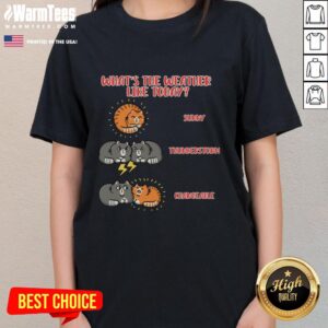 Good What's The Weather Like Today Meoweather Ladies Tee in vibrant colors, perfect for casual wear and weather enthusiasts.
