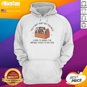 Good You Can't Hurt My Feelings Dad Hoodie in stylish design, perfect for casual wear and showcasing a humorous vibe.