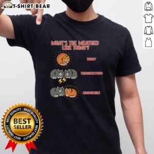 Meoweather T-Shirt featuring 'What's The Weather Like Today' design, perfect for cat lovers and weather enthusiasts.