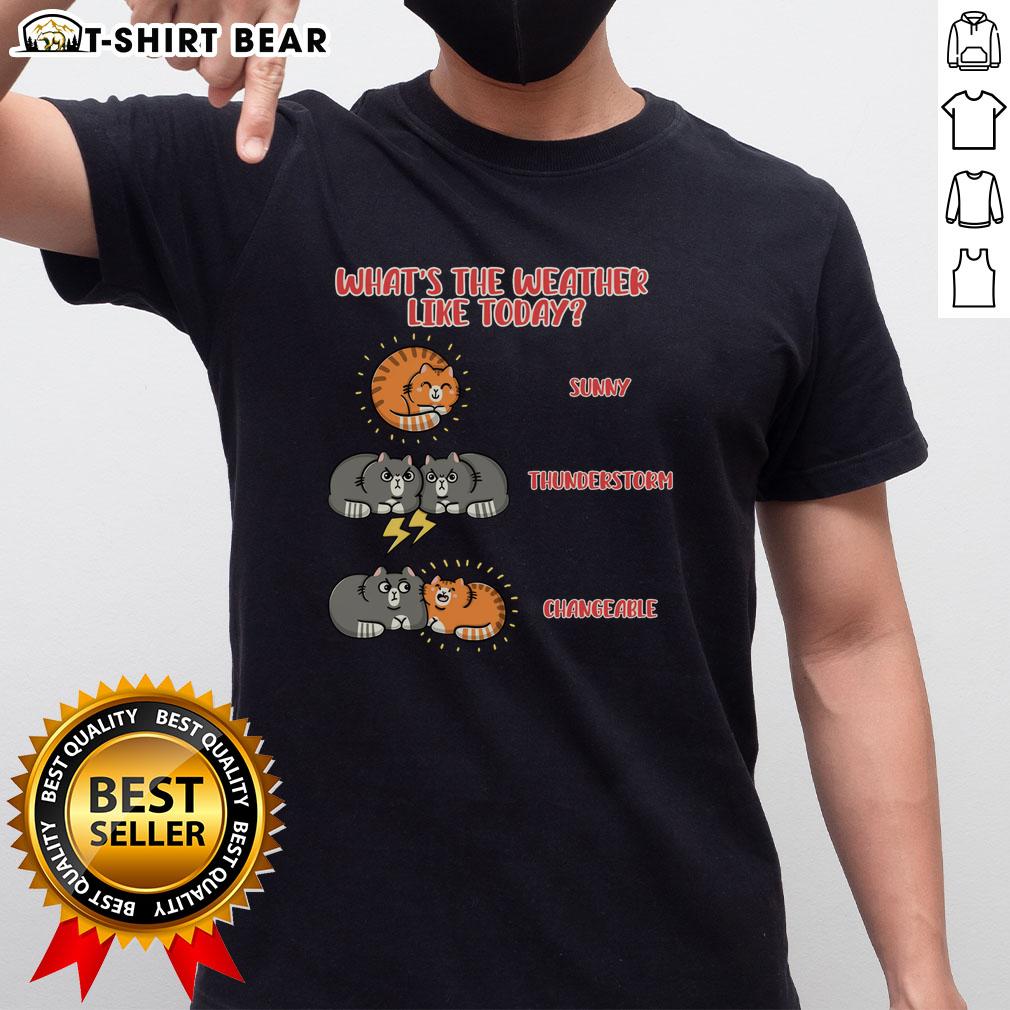 Top What'S The Weather Like Today Meoweather T Shirt Meoweather T-Shirt featuring 'What's The Weather Like Today' design, perfect for cat lovers and weather enthusiasts.