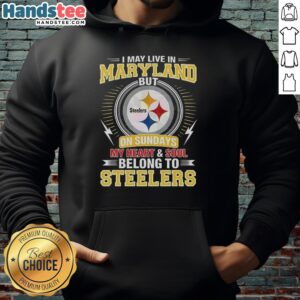 Official Pittsburgh Steelers NFL hoodie showcasing pride for Steelers fans living in Maryland on Sundays.