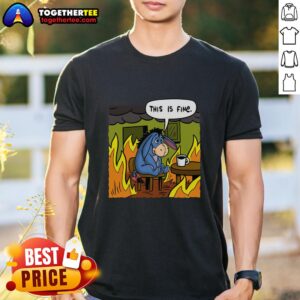 Good Stuffed Donkey This Is Fine Meme T-Shirt featuring a cute donkey graphic and humorous text, perfect for meme lovers.
