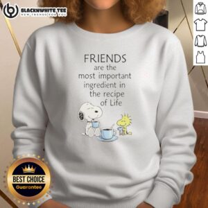 Cozy cartoon sweatshirt featuring Snoopy and friends, highlighting the importance of friendship in life's recipe.