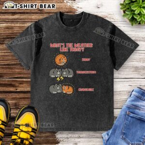 Top 'What's The Weather Like Today' Meoweather washed t-shirt featuring a playful cat graphic in a trendy design.