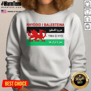 Pretty Rhyddid I Balesteina Yma O Hyd Wales Palestine Solidarity Flag Sweatshirt in dark grey, long-sleeve, crewneck style
