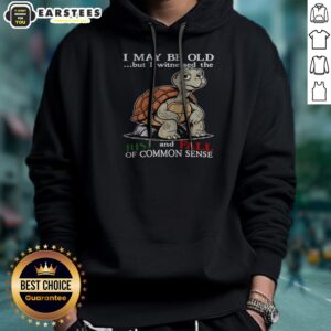 Pretty Turtle I May Be Old But I Witnessed The Rise And Fall Of Common Sense Hoodie