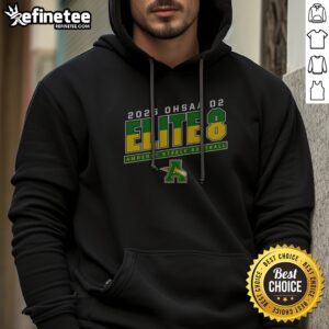 Pretty 2026 OHSAA D2 Elite 8 Amherst Steele Softball Shirt Amherst Steele Comets hoodie in vibrant colors