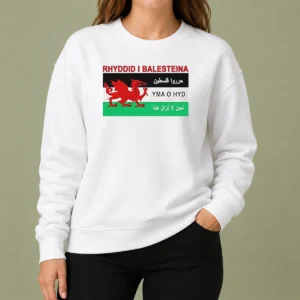 Awesome Rhyddid I Balesteina Yma O Hyd Wales Palestine Solidarity Flag Sweater