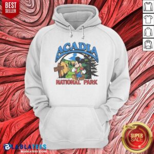 Hot Mickey Mouse Acadia National Park hoodie optimized for showcasing vibrant graphics and comfortable fit