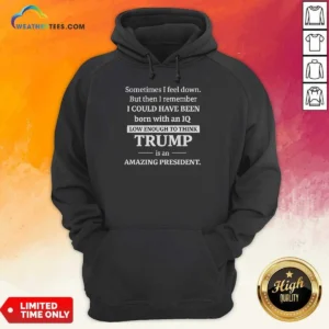 Good Political Satire Trump Is An Amazing President Hoodie hoodie optimized with front view on black background