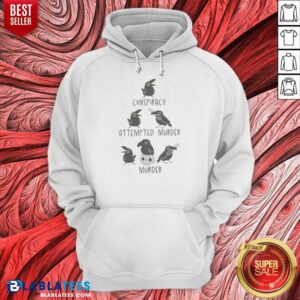 Top Crows Conspiracy Attempted Murder Murder Skull Humor Bird Lover Funny Hoodie