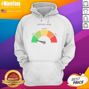 Hot Cortisol Level Low Normal High hoodie in black with bold graphic text on the front