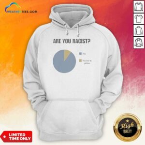Premium Are You Racist Yes Yes Put In Yellow Pie Chart Graphic Hoodie optimized for comfort and style