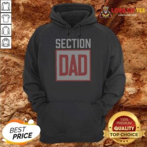Awesome Hot Section Dad Father'S Day Hoodie