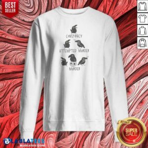 Top Crows Conspiracy Attempted Murder Murder Skull Humor Bird Lover Funny Sweatshirt