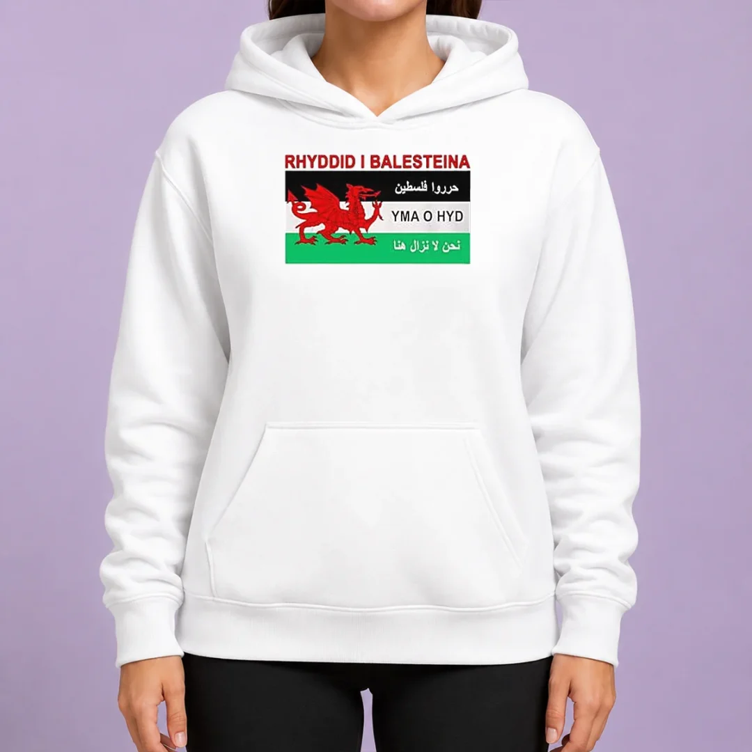 awesome-rhyddid-i-balesteina-yma-o-hyd-wales-palestine-solidarity-flag-hoodie Awesome Rhyddid I Balesteina Yma O Hyd Wales Palestine Solidarity Flag Hoodie in black, front view with drawstring hood and kangaroo pocket