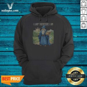Premium Wizard I Larp Therefore I Am Hoodie