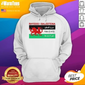 Pretty Rhyddid I Balesteina Yma O Hyd Wales Palestine Solidarity Flag Hoodie in black with front print