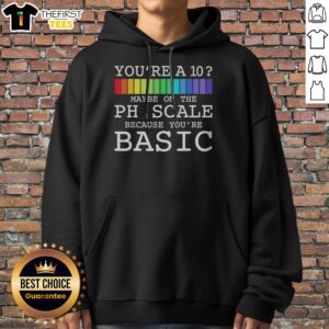 Hot You'Re A 10 Maybe On The PH Scale Because Youre Basic Chemistry Science Hoodie displayed on a model.