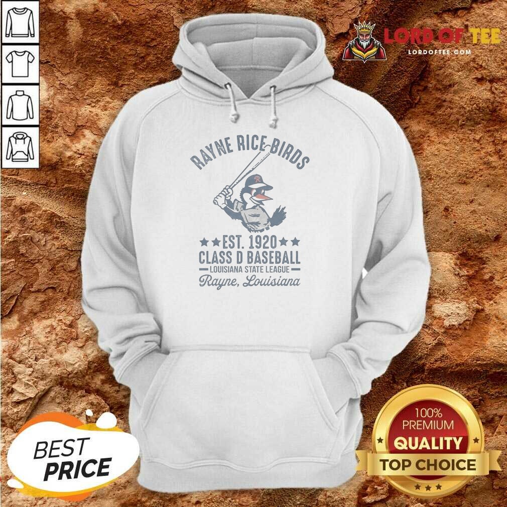 Official Rayne Rice Birds Est 1920 Class D Baseball Louisiana State League Hoodie hoodie optimized Official Rayne Rice Birds Est 1920 Class D Baseball Louisiana State League Hoodie in charcoal gray, front view with drawstring hood and kangaroo pocket