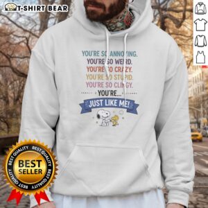Hot Snoopy And Woodstock You'Re So Annoying You'Re So Weird You'Re So Crazy You'Re So Stupid Hoodie in vibrant colors