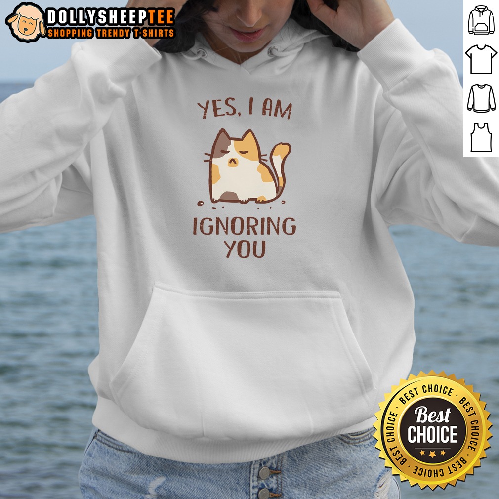 Premium I Am Ignoring You Hoodie Premium I Am Ignoring You Hoodie in dark gray with front pocket and adjustable hood