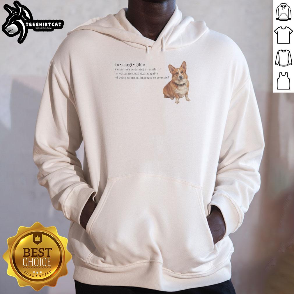 pretty-corgi-in-corgi-gible-dog-incapable-of-being-reformed-hoodie Adorable corgi wearing a 'Corgi Gible Dog Incapable of Being Reformed' hoodie, showcasing its playful personality.