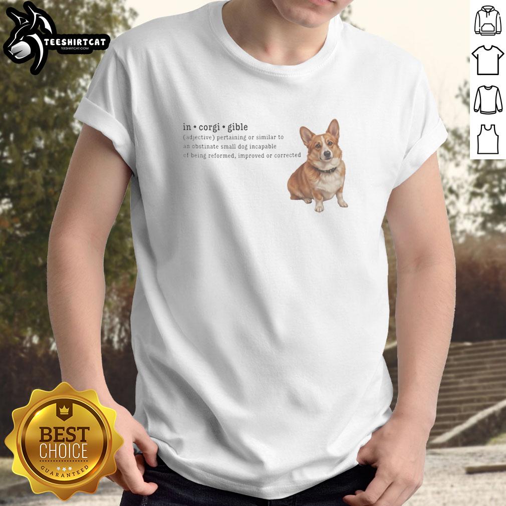 pretty-corgi-in-corgi-gible-dog-incapable-of-being-reformed-t-shirt Adorable Corgi on 'In-Corgi-Gible Dog' T-Shirt design, showcasing playful spirit and charm for dog lovers.