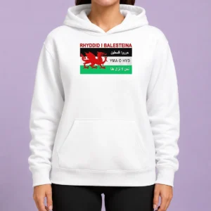 Awesome Rhyddid I Balesteina Yma O Hyd Wales Palestine Solidarity Flag Hoodie in black, front view with drawstring hood and kangaroo pocket