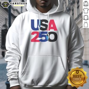 USA 250 Overlay hoodie featuring a unique graphic design and soft fabric.
