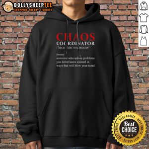 Official Chaos Coordinator Definition Someone WHO Solves Problems You Never Knew Existed Hoodie in a cozy setting