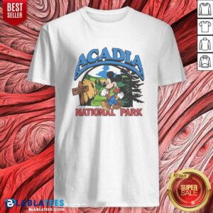 Hot Mickey Mouse Acadia National Park shirt optimized featuring a playful design for outdoor enthusiasts.