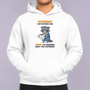 Pretty Raccoon Yesterday I Did Nothing And Today Im Finishing What I Did Yesterday Hoodie