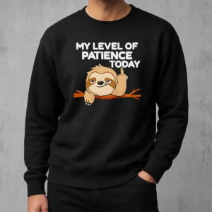 Hot Sloth Middle Finger My Level Of Patience Today Cartoon Sweater
