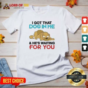 Original I Got That Dog In Me, And He'S Waiting For You V-Neck Shirt