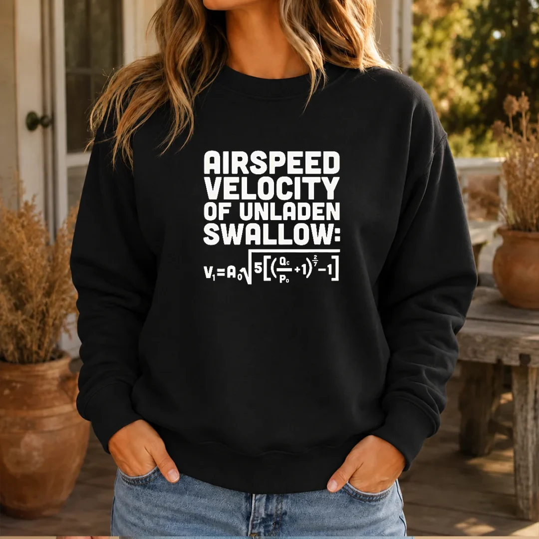 funny-airspeed-velocity-of-unladen-swallow-and-equation-science-nerd-sweater Funny Airspeed Velocity Of Unladen Swallow And Equation Science Nerd Sweater