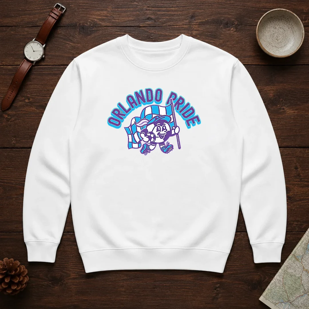 good-kid-s-orlando-pride-soccer-player-grey-sweater Good Kid'S Orlando Pride Soccer Player Grey Sweater